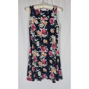 Pink Lily Dress L Women's Blue Floral Sleeveless Pockets A Line Stretch Comfy